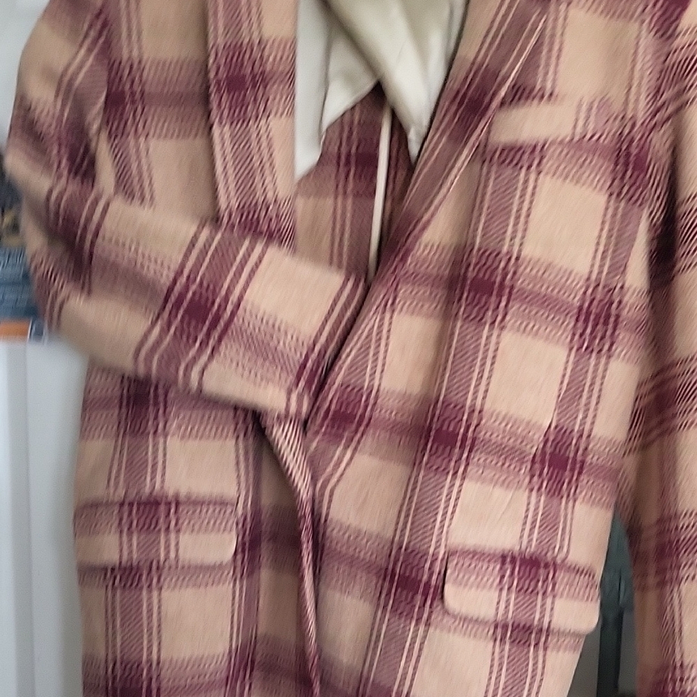 Isabel Marant Beige and Burgundy Plaid Blazer - Picture 7 of 13